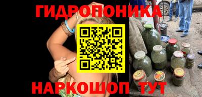 амф Камышлов